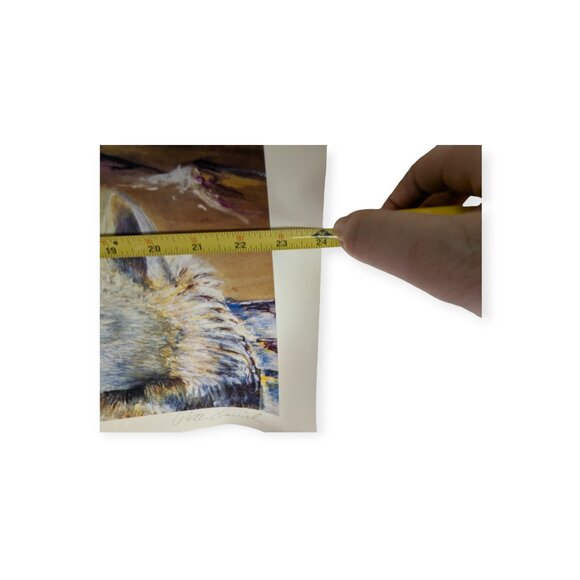 Peter Daniels "Northern Mystique" Signed & Numbered 84/950 18" x 24" Print - Picture 13 of 13